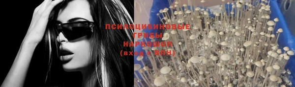 прущая мука Верхний Тагил