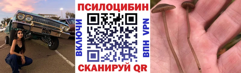 Галлюциногенные грибы GOLDEN TEACHER  Купить  Ханты-Мансийск 